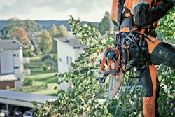 Here an arborist climbs with the 536LiXP clearing saw attached to his belt. His battery backpack, which enables the saw to run six hours, also is visible. Photo: Husqvarna Group