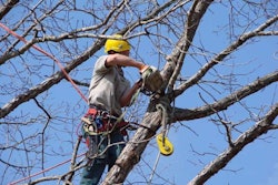 Photo: gardeningnewstoday.com