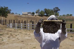 The lack of food and water for bees is driving commercial beekeepers out of the state of California.