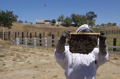 The lack of food and water for bees is driving commercial beekeepers out of the state of California.