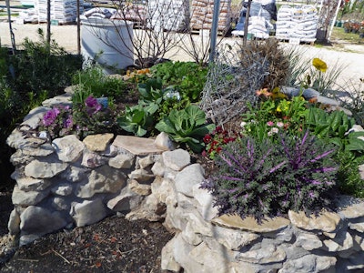 Keyhole gardens are ideal for areas affected by drought due to the small amount of water they require. Photo: agricoolture.files.wordpress.com