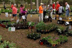 Unique and hard-to-find native plants are featured at the sale, held each year at a beautiful setting along Alabama’s Gulf Coast. Photo: Weeks Bay Foundation