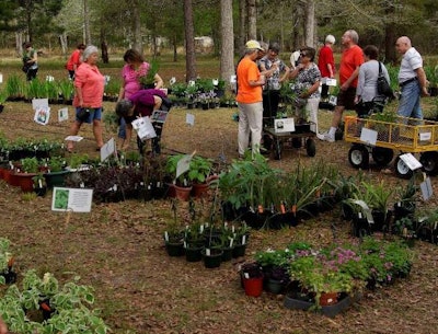 Unique and hard-to-find native plants are featured at the sale, held each year at a beautiful setting along Alabama’s Gulf Coast. Photo: Weeks Bay Foundation