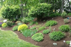 1.KirkBrownLOY2015-1024×576