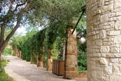 rainwater harvesting 1