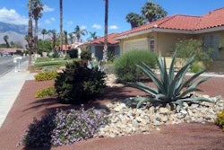 Many Californians have swapped out their lush lawns for xeriscapes. Photo: gsd.harvard.com