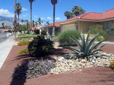 Many Californians have swapped out their lush lawns for xeriscapes. Photo: gsd.harvard.com