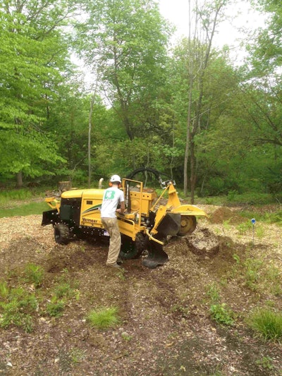 Professional arborists routinely use stump grinders in their cleanup operations. Photo: Barts Tree Service