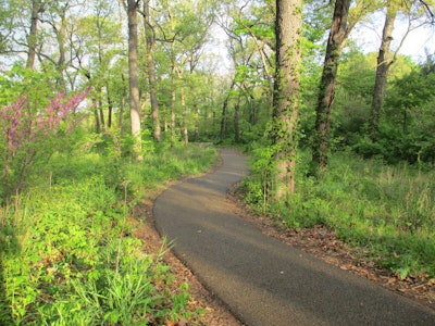 A pour-in-place, permeable paving material, Porous Pave was recognized for excellence in product design at Canada’s National Design and Architecture Exposition & Conference. Photo: Porous Pave