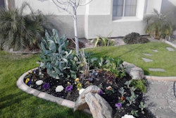Agriscaping Technologies focuses on showing homeowners how to tend attractive, edible landscaping. Photo: Agriscaping Technologies