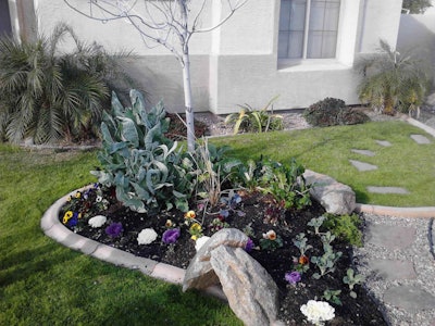 Agriscaping Technologies focuses on showing homeowners how to tend attractive, edible landscaping. Photo: Agriscaping Technologies