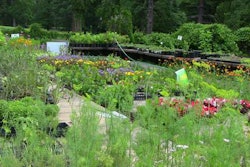 Members of the New Leaf Gardeners Program sell majority of the plants they grow to locals. Photo: State of New Jersey Department of Human Services