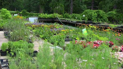 Members of the New Leaf Gardeners Program sell majority of the plants they grow to locals. Photo: State of New Jersey Department of Human Services