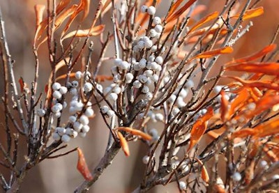 Photo: JanetandPhil/Flickr