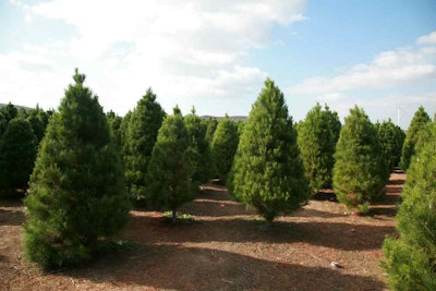 shutterstock_42189736