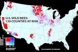 A new University of Vermont study of wild bees identifies 139 counties in key agricultural regions of California, the Pacific Northwest, the Midwest, west Texas and the Mississippi River valley that face a worrisome mismatch between falling wild bee supply and rising crop pollination demand. Photo: University of Vermont