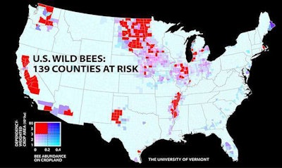 A new University of Vermont study of wild bees identifies 139 counties in key agricultural regions of California, the Pacific Northwest, the Midwest, west Texas and the Mississippi River valley that face a worrisome mismatch between falling wild bee supply and rising crop pollination demand. Photo: University of Vermont
