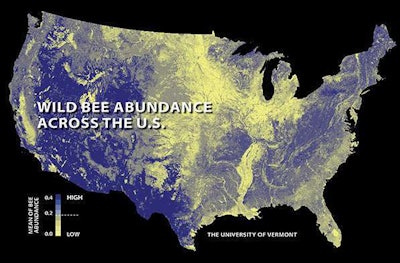 The first national study to map U.S. wild bees suggests they’re disappearing in many of the country’s most important farmlands. Relatively low abundance is shown here in yellow, higher in blue. (Click to enlarge.) Photo: University of Vermont