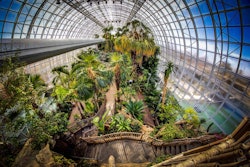 Ann Fleener, an alumna from Auburn’s new public horticulture graduate program, now works at Myriad Botanical Gardens in Oklahoma. Photo: roadtrippers.com