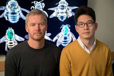 A research team led by Insu Koh (right) and Taylor Ricketts, bee experts at the University of Vermont’s Gund Institute for Ecological Economics, estimates that wild bee abundance between 2008 and 2013 declined in 23 percent of the contiguous United States, potentially threatening crop production. Photo: Sally McCay, University of Vermont