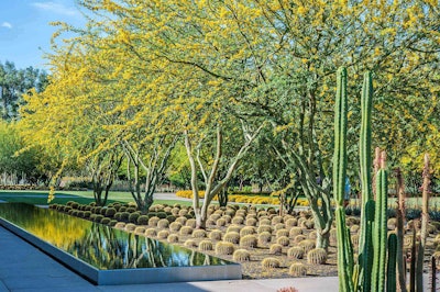 Sunnylands Center Gardens is a 15-acre extension of the 200-acre desert estate of U.S. Ambassador Walter Annenberg. Photo: Coachella Valley Water District
