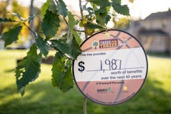 Last year Davey Tree Expert Company tied tags on trees to let people know about the benefits of trees. Photo: The Davey Tree Expert Company