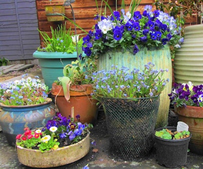 Container gardens allow for flexibility of design and versatile plant life. Photo: Scrappy Annie/Flickr