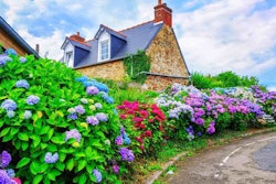 shutterstock-178101203