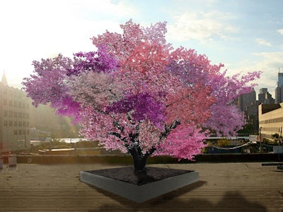 Artist’s rendering of what Van Aken’s grafted trees will look like after a few years. Photo: Sam Van Aken