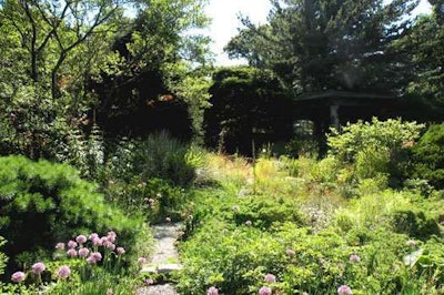 Wild, untamed gardens are a new trend that will have to be treated with caution. Photo: Wavehill.org