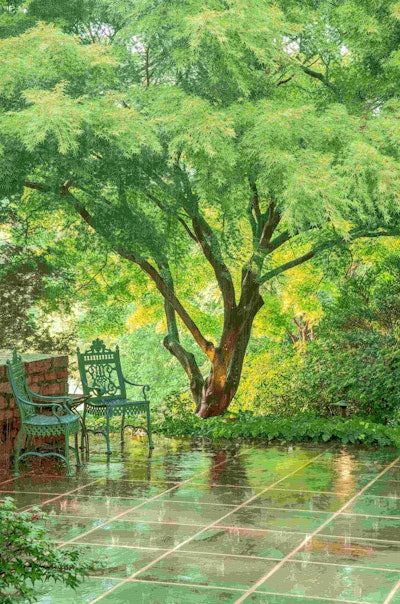 'You can almost hear the rain softly pattering on the ground, but the golden light peeping through the tree promises that sunshine is not far away,' said Christina Harrison, editor of Kew Magazine. Rodger Foley earned second place for the Beautiful Gardens category. Image by Rodger Foley. Go to www.igpoty.com for more information about International Garden Photographer of the Year.