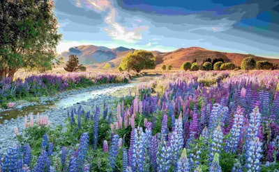 The overall winner of the International Garden Photographer of the Year competition. Image by Richard Bloom. Go to www.igpoty.com for more information about International Garden Photographer of the Year.