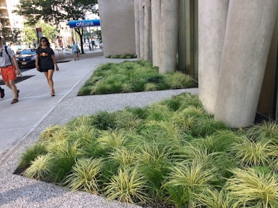 The Blondie’s Treehouse design included mass plantings within sections created by the buildings large columns. Photo: Blondie’s Treehouse Inc.