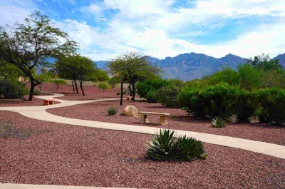 This pedestrian park illustrates how beautiful a desert landscape can be when it’s installed and maintained properly. Photo: Amy Materson