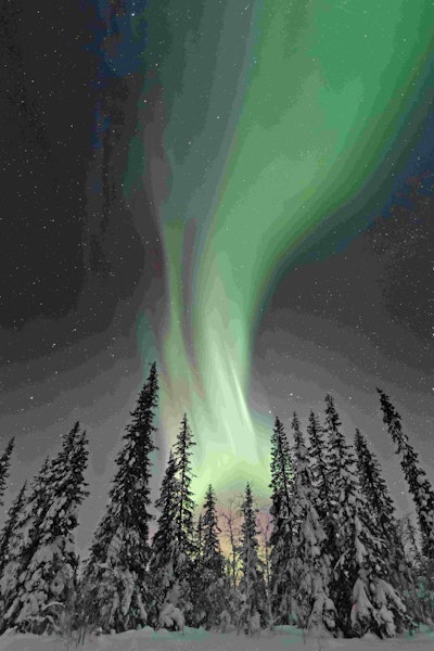 'It is often said that photography is all about being in the right place at the right time,' said Philip Smith, founder of IGPOTY. 'This is true but you have to have the skill and artistry to capture that moment effectively, and this is what James has done here.' This photo won first place for the Trees, Woods and Forests category. Image by James Woodend. Go to www.igpoty.com for more information about International Garden Photographer of the Year.