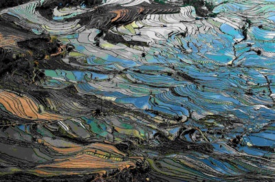 'Human impact on the natural environment is not often to be celebrated but here Xuejun Xia shows us a quite remarkable vision,' said Philip Smith, found of IGPOTY. This picture of rice terraces in China won first place for the Bountiful Earth category. Image by Xuejun Xia. Go to www.igpoty.com for more information about International Garden Photographer of the Year.