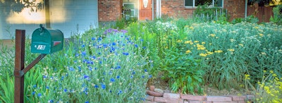 Garden In A Box allows customers to plant with confidence species that are adapted to Colorado’s climate. Photo: CRC