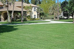 As beautiful lawns like this one disappear in areas affected by years of drought, green industry organizations point to the numerous environmental benefits of natural turf lawns. Photo: Sod Solutions