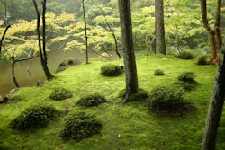 moss garden saiho-ji – Ivanoff~commonswiki