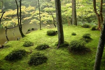 moss garden saiho-ji – Ivanoff~commonswiki
