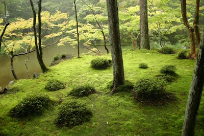 moss garden saiho-ji – Ivanoff~commonswiki