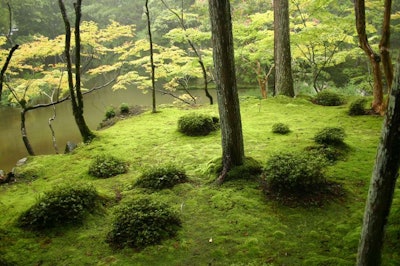 Saiho-ji is a Buddhist temple in Kyoto, Japan that is known for its moss garden. Photo: Ivanoff~commonswiki