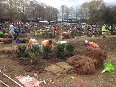 Students from Auburn University hustle to dig and lay sod as part of the Landscape Plant Installation competitive event. Photo: Jill Odom