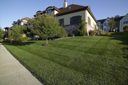 For lush, weed-free lawns like this, landscapers have to be proactive and apply pre-emergent herbicides. Photo: Dow AgroSciences