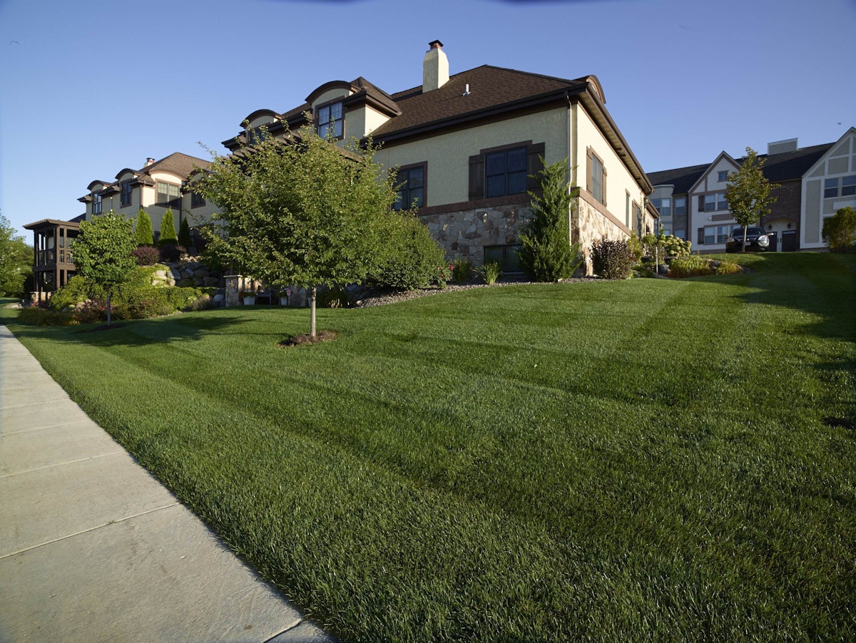 Landscapers launch preemptive attacks with pre-emergent ...