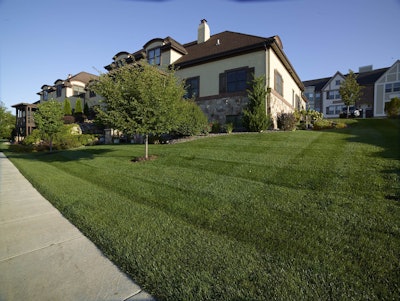 For lush, weed-free lawns like this, landscapers have to be proactive and apply pre-emergent herbicides. Photo: Dow AgroSciences