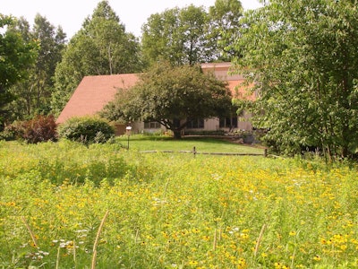 As more people see wildlife landscaping, the more often prairie-like yards with native plants will appear. Photo: Wildscapes LLC