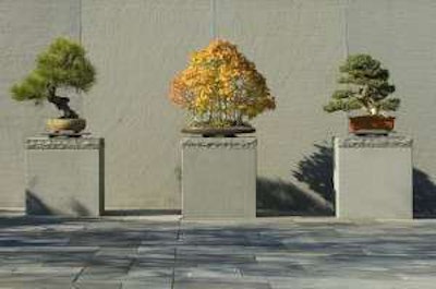 Harwell was recognized along with Dr. Johann Klodzen, executive director of the National Bonsai Foundation. Photo: Steve Uzzell