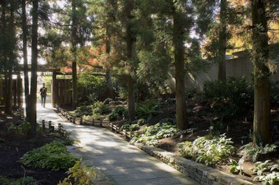 Rhodeside & Harwell’s work at the National Arboretum has included new courtyards and gardens at the National Bonsai and Penjing Museum. Photo: Steve Uzzell