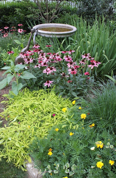 Johnsen incorporates her different sources of landscaping knowledge into her designs. Photo: Jan Johnsen